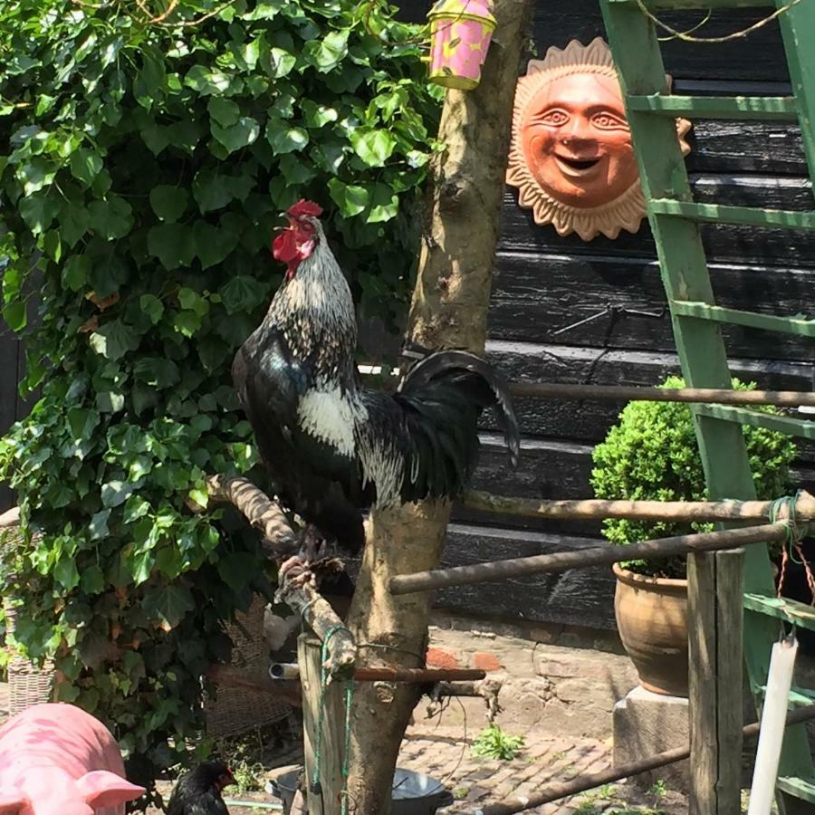 Vrouwenpolder 빌라 외부 사진